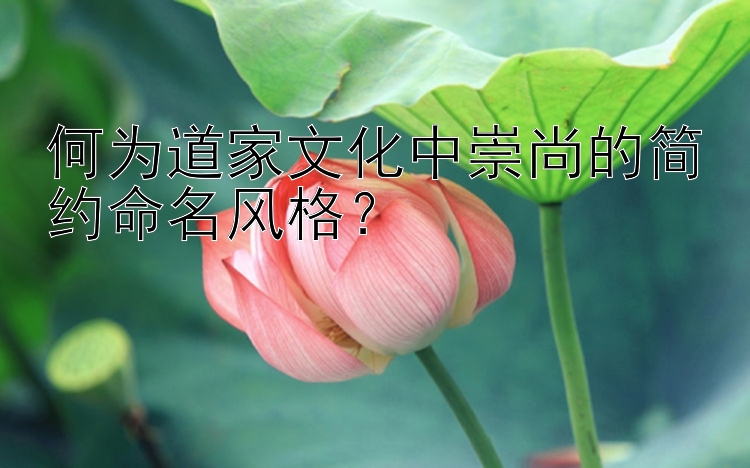 何为道家文化中崇尚的简约命名风格？